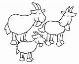 Goats Gruff Capretti Coloringhome Furbetti Rhymes sketch template