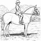Cavallo Colorare Stall Disegni Equestrian Breyer Cavaliere sketch template