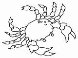 Crab Horseshoe Coloring Fiddler Clipart Color Pages Getcolorings sketch template