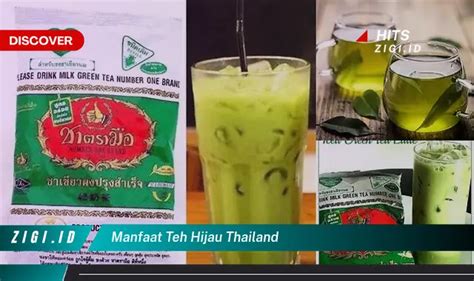 Ketahui Manfaat Lidah Buaya Untuk Mata Yang Bikin Kamu Penasaran