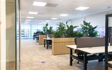 roomdividers met planten hoogendoorn projectbeplanting kantoorinrichting roomdivider