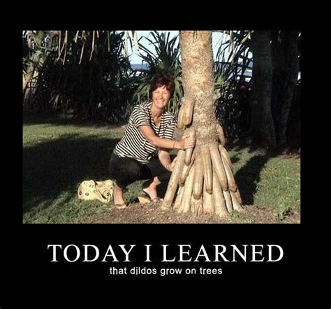 today i learnedthat dildos grow on trees funny pictures funny