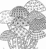 Hongos Zentangle Mandalas Setas Páginas Mushrooms sketch template