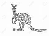 Kangaroo Canguro Zentangle Coloritura Stylized Ostrich Freehand sketch template