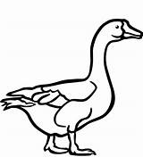 Goose Coloring Pages Geese Walking Printable Supercoloring Categories Popular sketch template