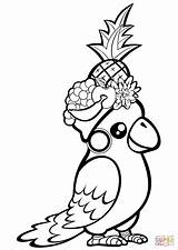 Coloring Parrot Cute Pages Fruit Printable Head Its Print Parrots Drawing sketch template