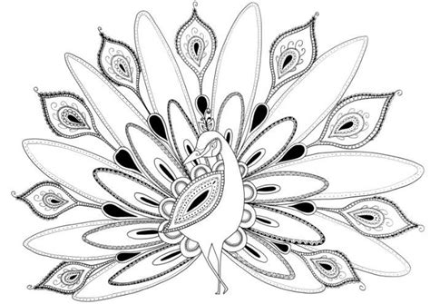 peacock coloring pages bird coloring pages christmas coloring pages