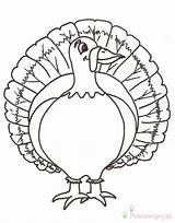 Turkeys Feather Indyk Kolorowanki Dzieci Indyki Bestcoloringpagesforkids Druku Thankful Tactile Drukuj Pobierz sketch template