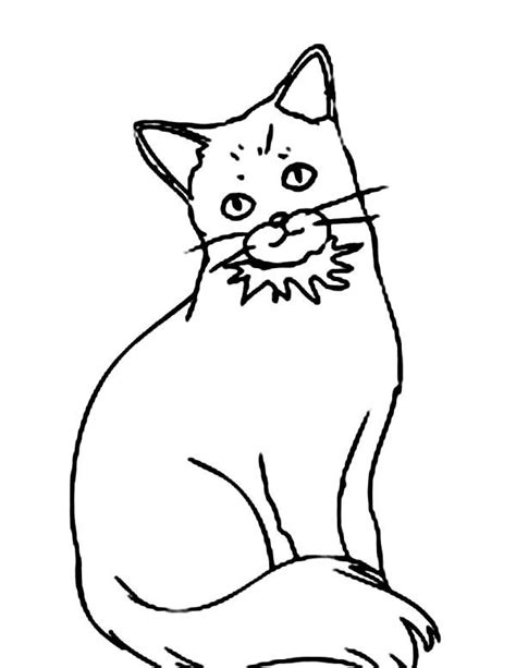 printable fat cat colouring pages shanealharith