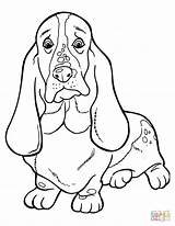 Coloring Hound Basset Pages Dog Printable Book Supercoloring Kids sketch template