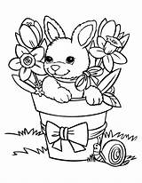 Coloring Rabbit Kids Pages Bunnies Colorir Para Desenho Vaso Cute Baby Funny Printable Rabbits Coelho Easter Páscoa Animals Spring Babies sketch template