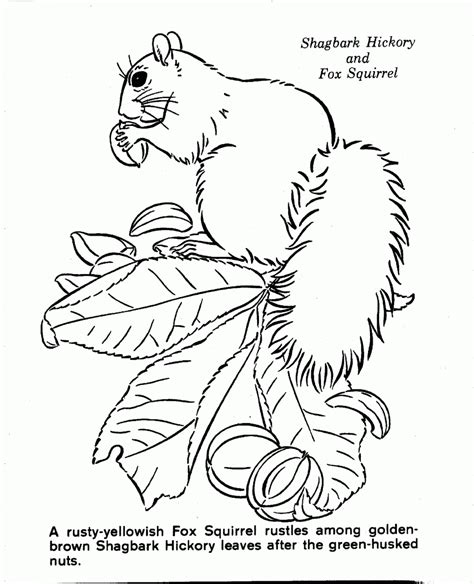 category coloring page  nature scenes coloring home
