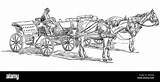 Cavallo Cavalli Carrozza Carriage Carrozze Pferd Vettore Trainate Alamy Kutscher Drawn Illustrationen Cocchiere sketch template