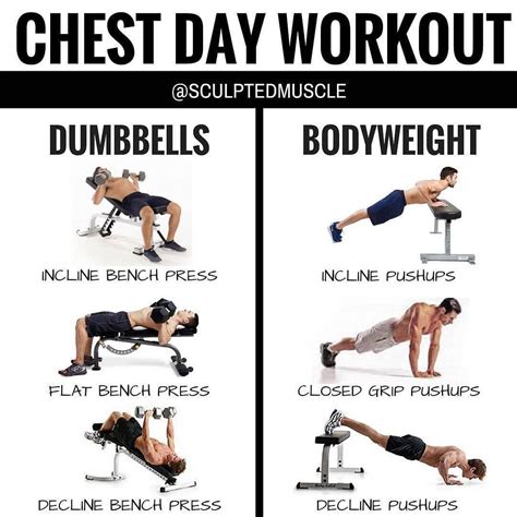 day  chest workout  home  dumbbells  weight loss