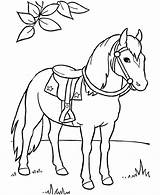 Cavalo Colorir sketch template