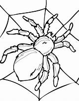 Spider Coloring Pages Kids Printable Color Sheets sketch template