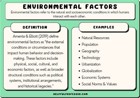 environmental factors examples