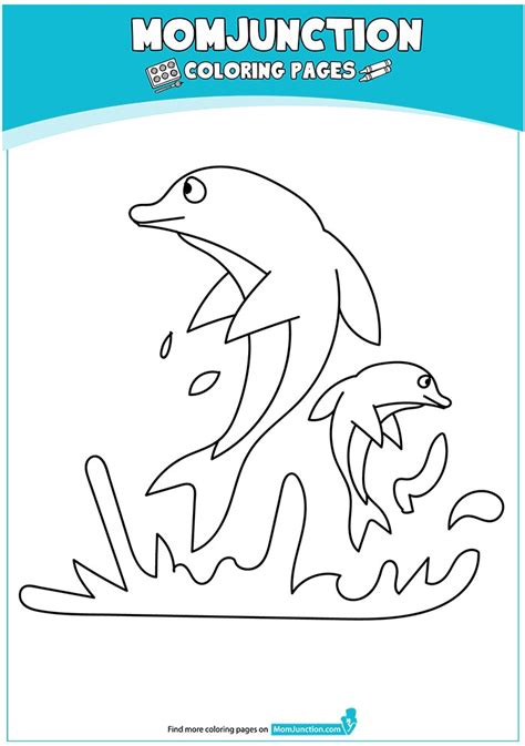 jumping dolphin  ajpg  coloring pages dolphin