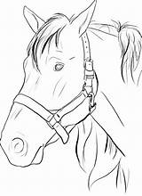 Cavalo Pintar Sponsored sketch template