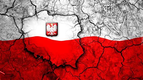 grafika polska godlo mapa flaga