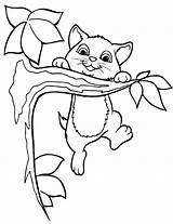 Coloring Kitten Pages Printable Tree Kids sketch template