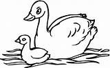Swan Coloring Pages Baby Olds Year Swans Two Color Cartoon Sheet Printable Kids Drawing Print Supercoloring Clipart Animals Paper Birds sketch template