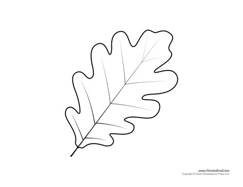 printable oak leaf coloring page kirailreid