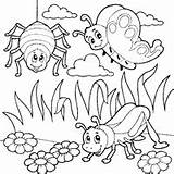Coloring Bugs Summer Insects Bug Clipart Three Pages Illustration Cute Royalty Print Surfnetkids Animals Visekart Printables Drawings Next Designlooter sketch template