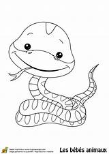 Coloriage Mignon Serpent Hugolescargot Coloriages Singe Imprimer Dessin Savane Colorier Bébé Reptiles sketch template