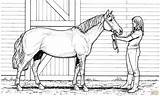 Horse Coloring Pages Printable Realistic Mare Horses Print Color Woman Animal Girl Adults Sheets Kids Dog Schleich Supercoloring Main Hard sketch template