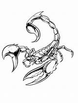 Scorpion Scorpions sketch template