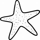 Stelle Gwiazda Wodna Kolorowanki Gwiazdy Druku Kolorowanka Fumetto Ryby Starfish Drukowania Planetadziecka Główna Strona sketch template