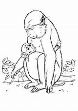 Monkey Affe Patas sketch template