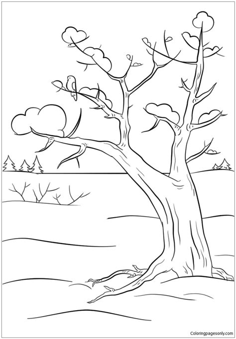 winter tree coloring page  coloring pages
