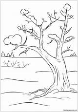 Winter Coloring Tree Pages Trees Printable Ausmalbilder Color Kids Template Christmas Colouring Pine Supercoloring Nature Drawing Save Printables sketch template
