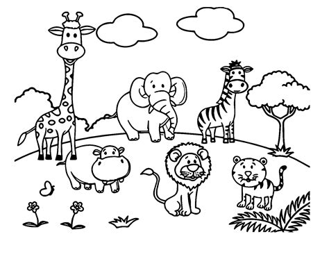zoo coloring pages   coloring pages printable