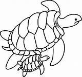 Coloring Pages Turtle Sea Baby Printable Getcolorings Color sketch template