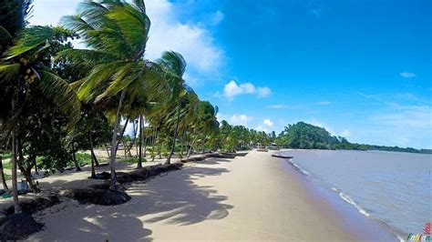 galibi beach suriname beautiful beaches beautiful destinations caribbean