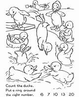 Counting Activity Ducks Count Honkingdonkey sketch template