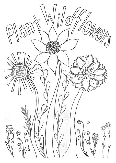 wildflower coloring pages printable coloring pages