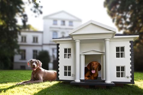 cool  creative dog mansions