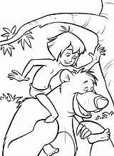 Mowgli Libro Baloo Dschungelbuch Ausmalbild Giungla Dschungel Kaa Selva Backs Bestcoloringpagesforkids Coloriages Bagheera Wonder Ausmalen sketch template