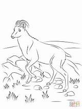 Coloring Alpine Ibex Designlooter Goat Nilgiri Tahr Wild Pages sketch template