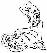 Disney Duck Daisy Coloring Pages Walt Characters Fanpop sketch template