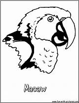 Macaw Coloring Pages Printable Fun sketch template