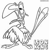 Lion King Coloring Pages Zazu Print Search Again Bar Case Looking Don Use Find Popular sketch template