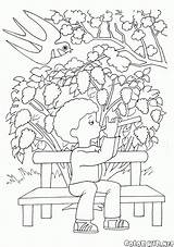 Roku Wiosna Pory Kolorowanki Lilac sketch template