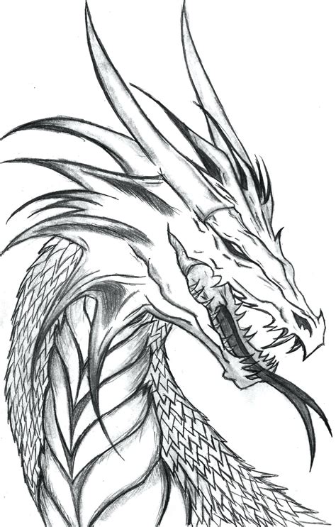 realistic coloring pages  dragons  getcoloringscom