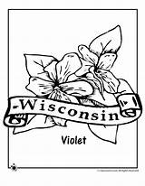 Coloring Flower Wisconsin State Pages Wood Flag Jr Sheets Printable Visit sketch template