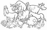 Coloring Farm Animals Cartoon Premium sketch template